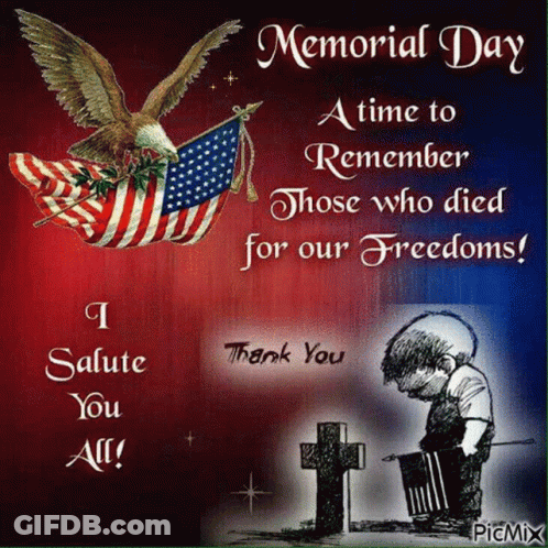 Memorial Day Salute Fallen Soldiers For Our Freedoms GIF