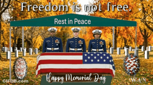 Memorial Day Soldiers Holding American Flag In Cemetery GIF