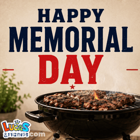 Memorial Day Written In Sand With Stars GIF
