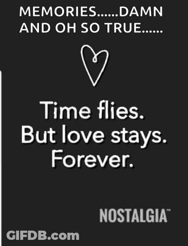 Memories Damn And Oh So True Poster GIF
