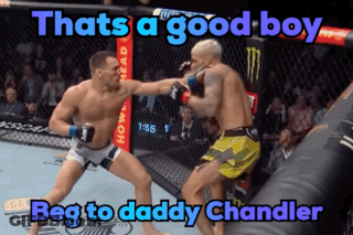 Men Cage Fighting Good Boy Beg Daddy Chandler GIF