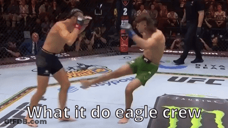 Men Cage Fighting What It Do Eagle Crew GIF