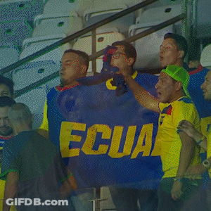 Men Cheering In Stadium With Brasil Shirt GIF