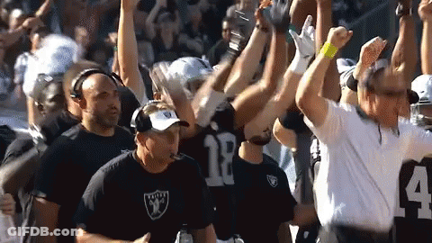 Men Cheering On Football Field GIF