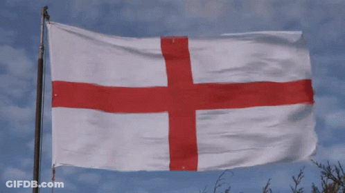 Men Dressed As England Flags In Crowd GIF