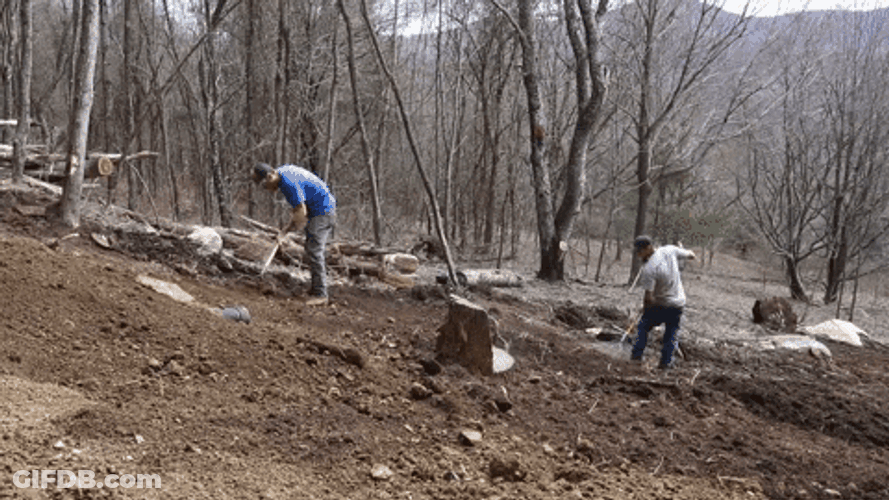 Men Evening Out Mulch On The Ground GIF