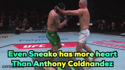 Men Fighting In UFC Ring GIF