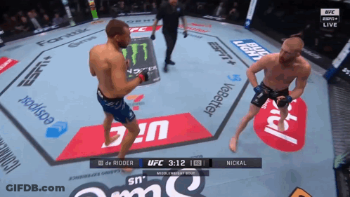 Men Fighting In UFC Ring Sponsored By Bud Light And ESPN GIF