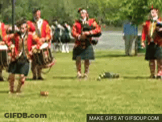 Men In Kilts Playing Bagpipes And Drums GIF