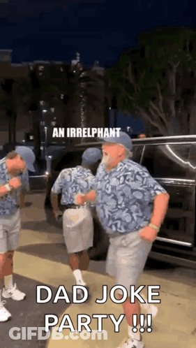 Men One In Hawaiian Shirt And Shorts GIF