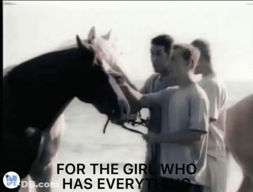 Men Petting Horse For The Girl Who Has Everything GIF