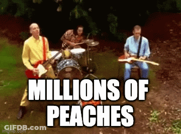 Men Playing Instruments In Field Saying Millions Of Peaches GIF