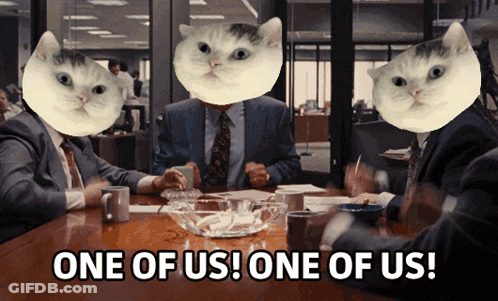 Men Sitting With Cats On Heads GIF
