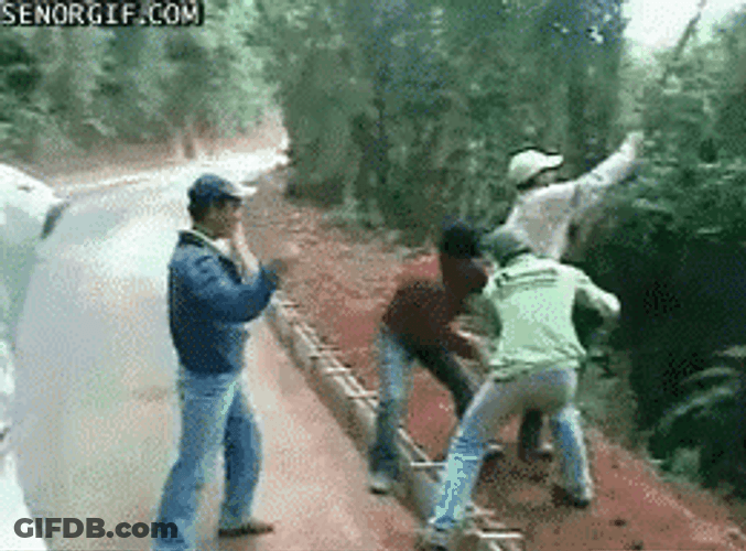 Men Swinging At The Border GIF