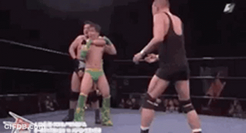 Men Wrestling In Ring Green Shorts GIF