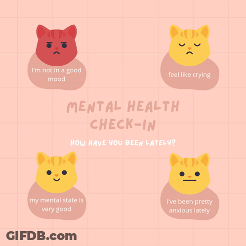 Mental Health Check-In With Cats GIF