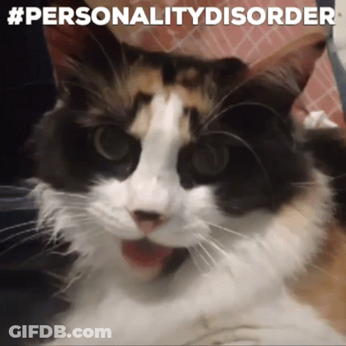 Mental Health Personality Disorder Cat GIF