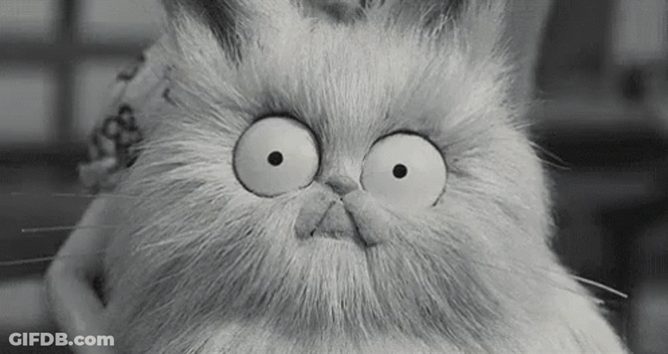Meow Cat Caffeine Hit GIF