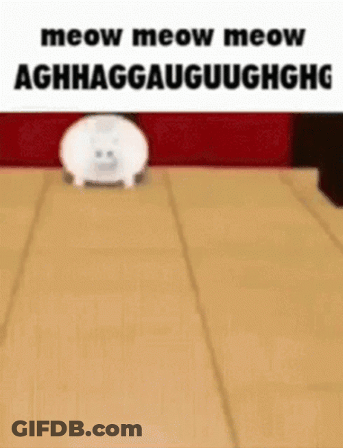 Meow Meow Meow Cat Covered In Donuts GIF