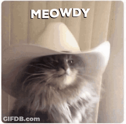 Meowdy Howdy Cat GIF