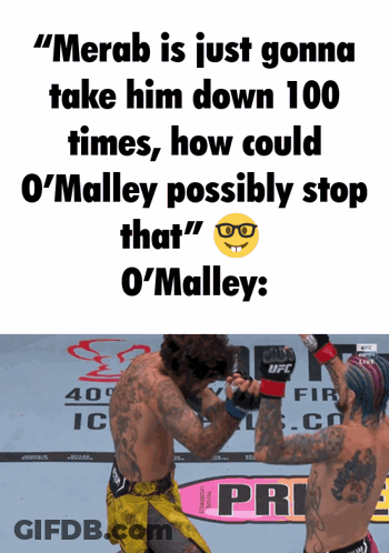 Merab Fighter Meme GIF