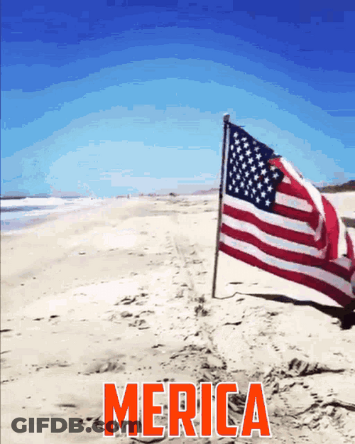 Merica Murica Beach Ready Body GIF