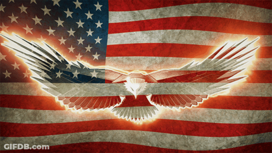 Merica Murica Flag And Eagle Glowing GIF