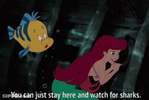 Mermaid And Fish Stay Here And Watch For Sharks GIF