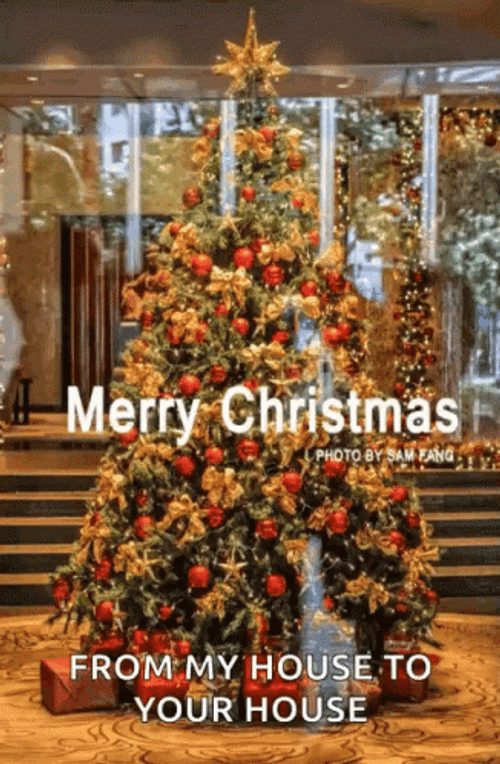Merry Christmas And Happy New Year From My House To Your House Christmas Tree GIF