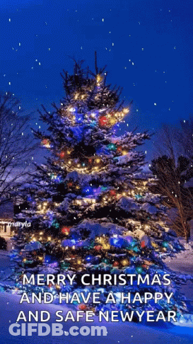 Merry Christmas And Happy New Year Greeting GIF