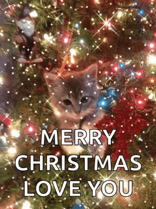 Merry Christmas And Happy New Year Love You Cat Christmas Tree GIF