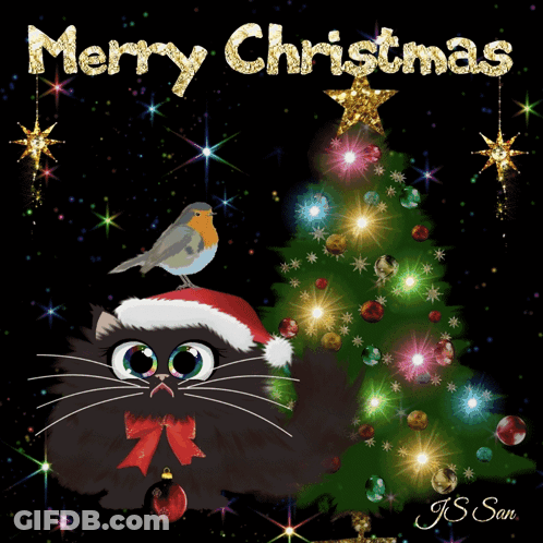 Merry Christmas Card With Black Cat And Robin GIF
