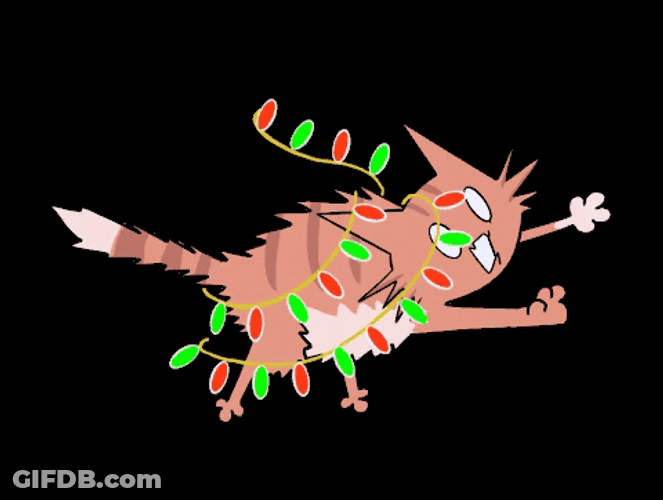 Merry Christmas Cat Electrocuted GIF