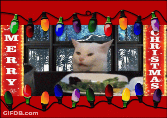 Merry Christmas Cat Frame Lights GIF