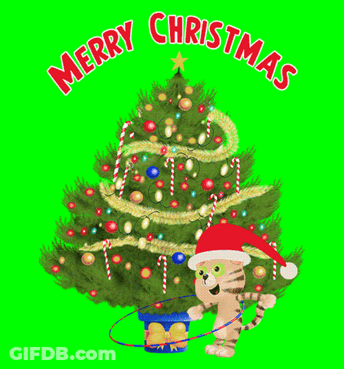 Merry Christmas Cat Hula Hoop GIF