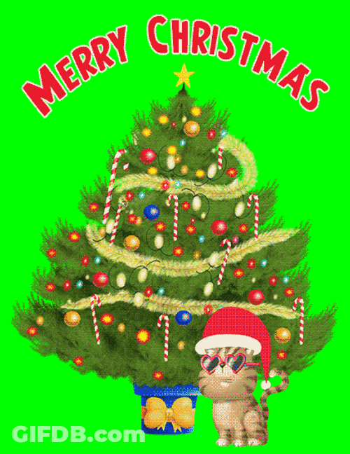 Merry Christmas Cat Infront Of The Tree GIF