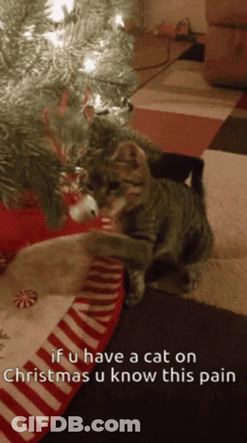 Merry Christmas Cat Playing Decoration GIF