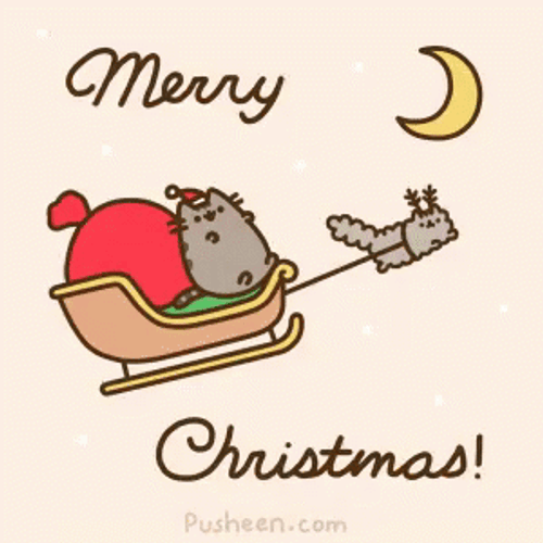 Merry Christmas Cat Riding Sleigh GIF