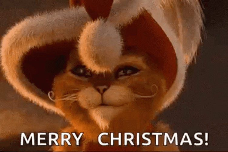 Merry Christmas Cat Widen Eyes GIF
