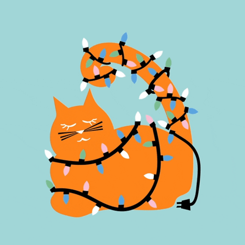 Merry Christmas Cat With Lights GIF