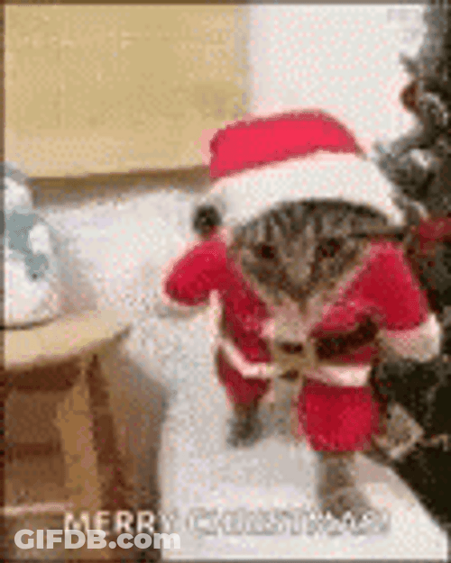 Merry Christmas Daughter Adorable Kitty Santa GIF