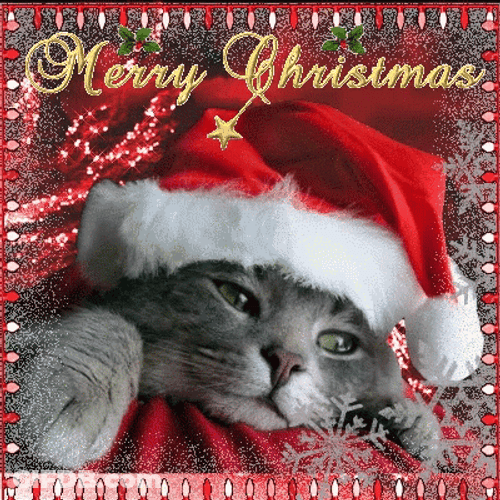 Merry Christmas Daughter Cute Santa Kitty GIF
