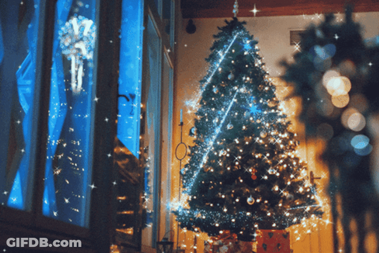 Merry Christmas Eve Fireworks Lighs GIF