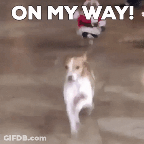 Merry Christmas Eve On My Way GIF
