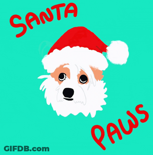 Merry Christmas Eve Santa Paws GIF