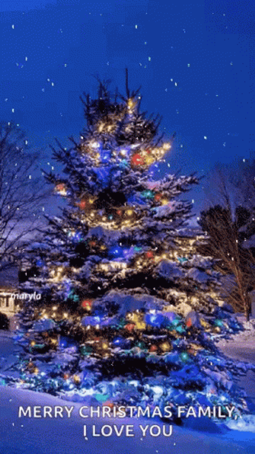 Merry Christmas Family Snow Tree Love GIF