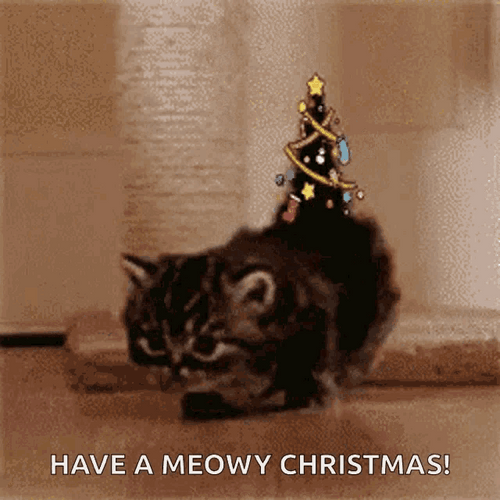 Merry Christmas Funny Cat And Its Tree Tail GIF