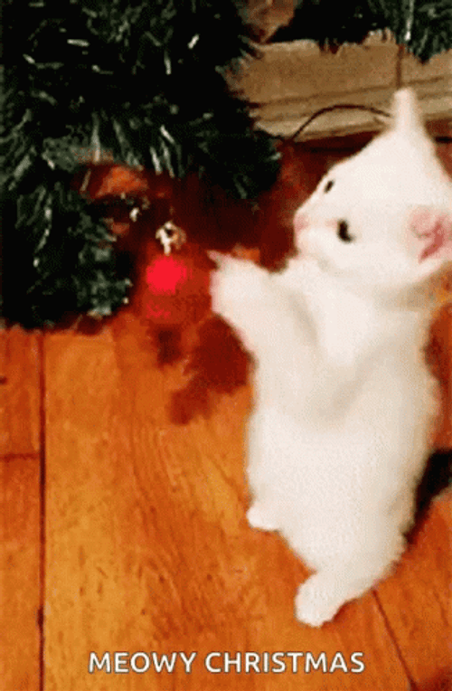 Merry Christmas Funny Cat Playing Christmas Balls GIF