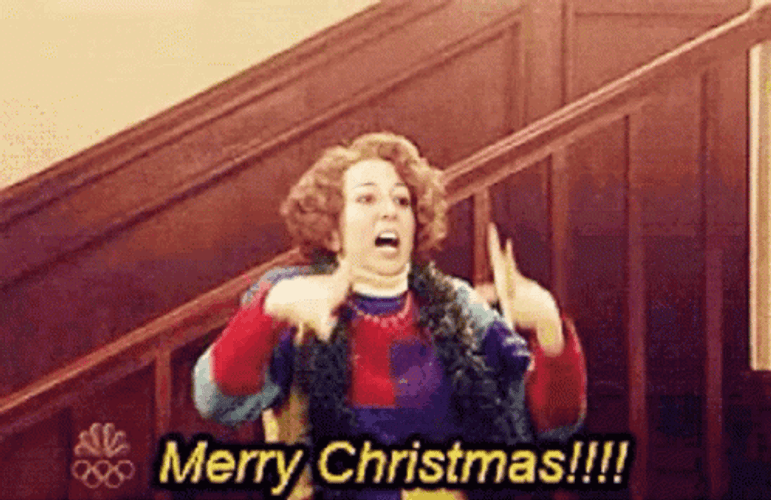 Merry Christmas Funny Kristen Wiig Oh My Gosh GIF