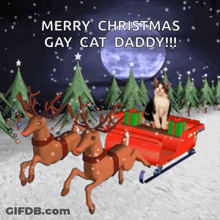 Merry Christmas Gay Cat Daddy Greeting Card With Cat In Sleigh GIF